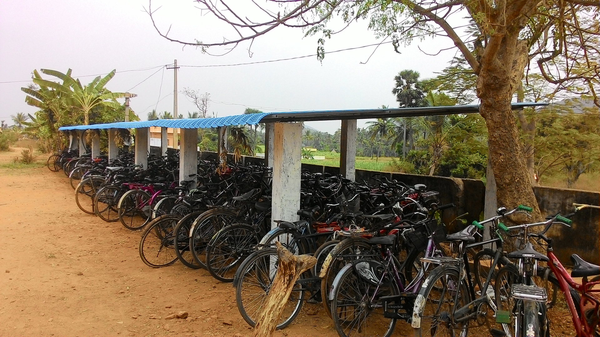 School 2024 cycle stand