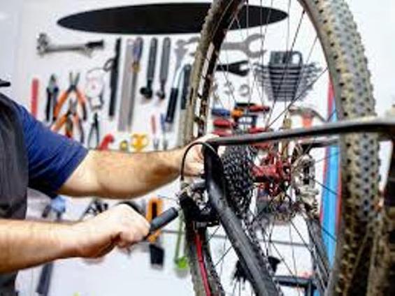 Basic bike best sale tune up cost