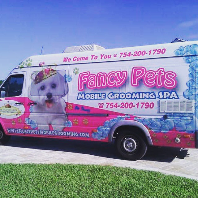 Doggy best sale grooming mobile