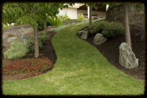 Natural lawn path