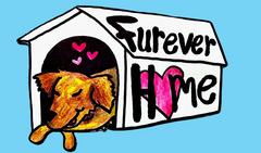 Furever Home - link to ticketing
