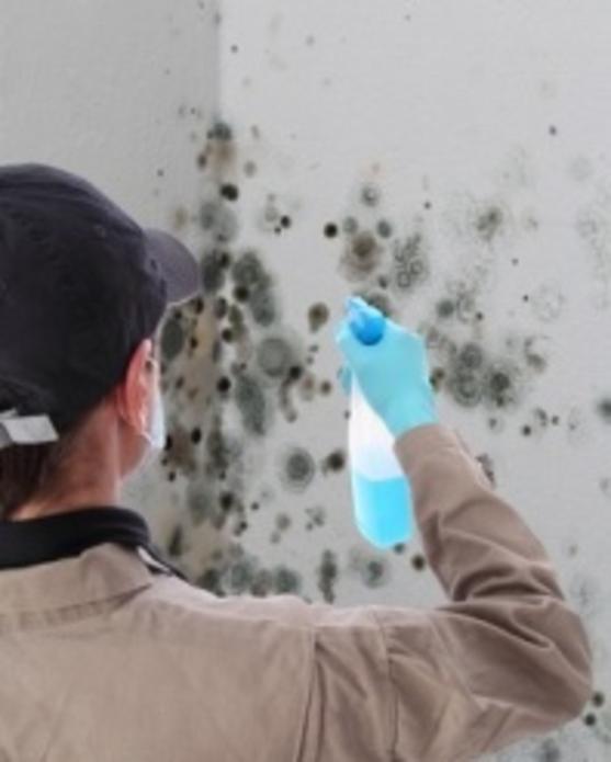 MOLD CLEANING SERVICES FROM RGV JANITORIAL SERVICES