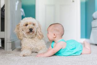 Carpet cleaning in Wednesbury, Tipton and West Bromwich.