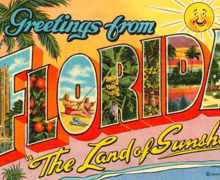 All About St. Lucie County - Picture of a Greetings from Florida, The Land of Sunshine Postcard.