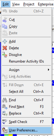 Using and identify schedule lag in Primavera P6