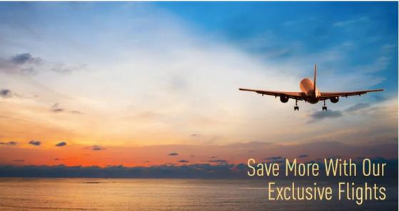 Exclusive non-stop flights from major airport cities to popular all inclusive destinations. Low deposits! Vacation Packages from $499 travel zoo promo