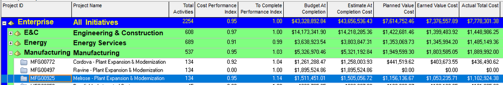 Show certain Primavera P6 columns in projects view