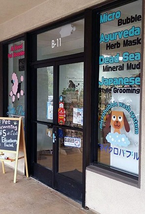 Small paws dog store grooming