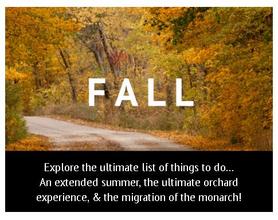 Fall on the 42