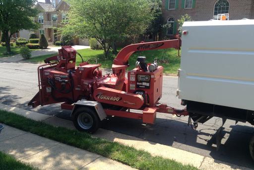 Stump Removing and Grinding - Montgomery County, MD- J&B Tree Services, LLC