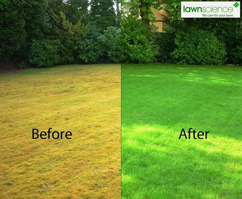 LAWN OVERSEEDING AND CARE IN LAS VEGAS NV AREA