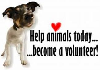 Wags 2 Wishes Animal Rescue, Inc. - Volunteer