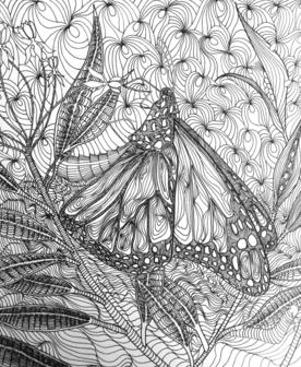 Click here to see more of my art work