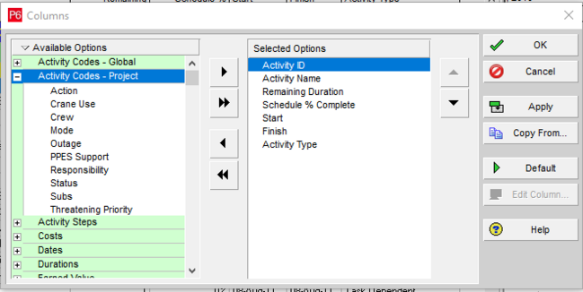 Choose Primavera P6 columns