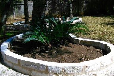 austin landscape service