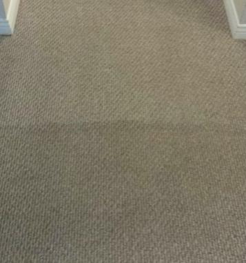 Photo of low pile carpet cleaning | Halifax