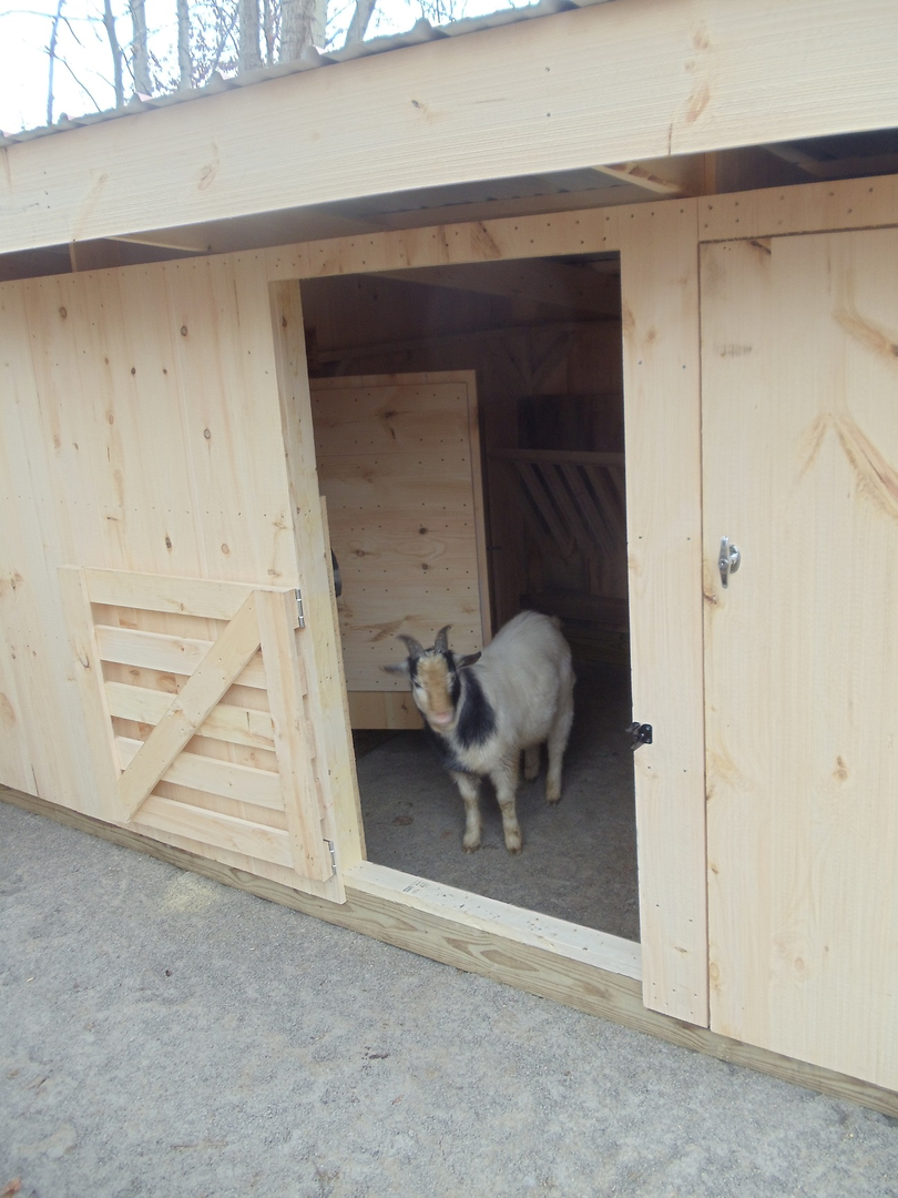 Goat Sheds Mini Barns And Shed Construction Millersburg Ohio