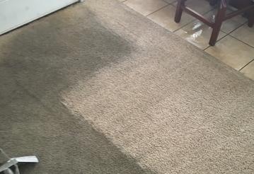 allen's carpet cleaning