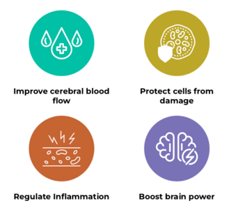 Far Infrared Therapy Treatments Improve Blood Flow