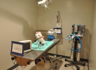 Main surgical suite of Cincinnati Hills Animal Clinic Montgomery Road location