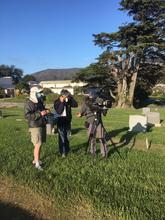 Recent Colma cemetery shoot