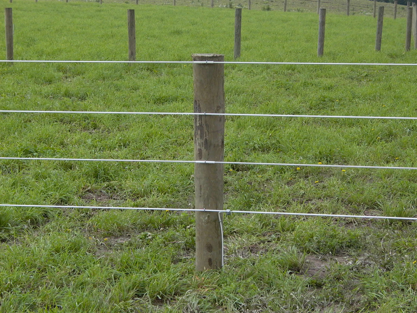 High Tensile and Coated Wire, image size:1440x1080