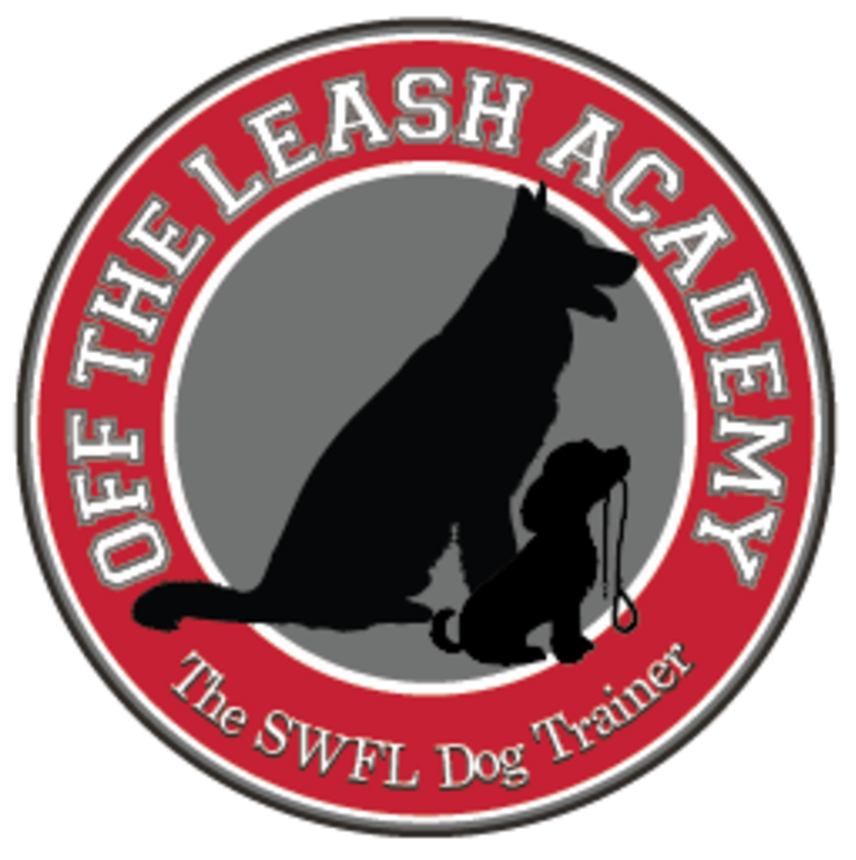 Off leash hotsell dog academy