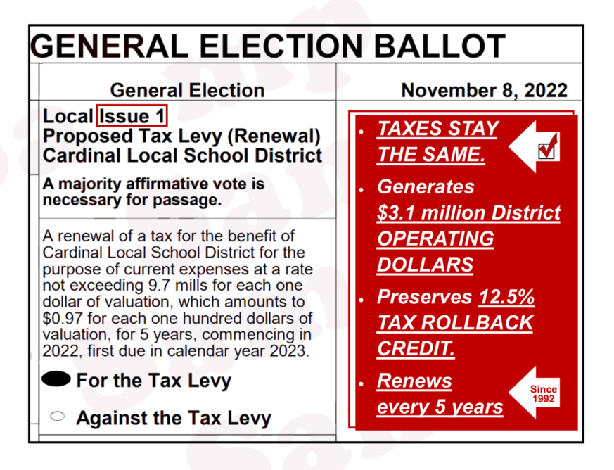 Cardinal School District Sample Ballots