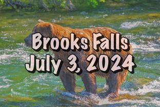 Brooks Falls Alaska Brown Bears