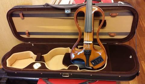 Hofner store electric violin