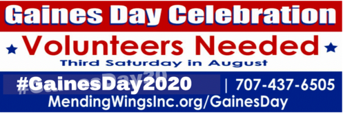 Gaines Day Volunteer Program
