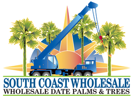 South Coast Wholesale, Wholesale date palms and trees California, Florida, Texas, Las Vegas, Arizona, Medjool Date Palms, datepalm, medjool, zahidi