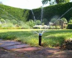 Expert irrigation installation with precise watering in oakville