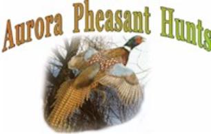 The best pheasant hunting booking service!