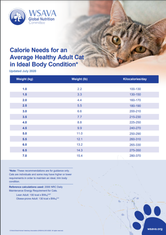 Small Pet Nutrition - Information and Advice