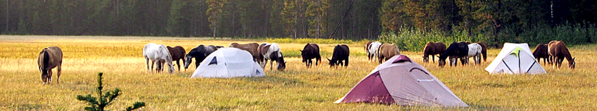 Yellowstone National Park, Bechler pack trip, pack trip, horses, adventure
