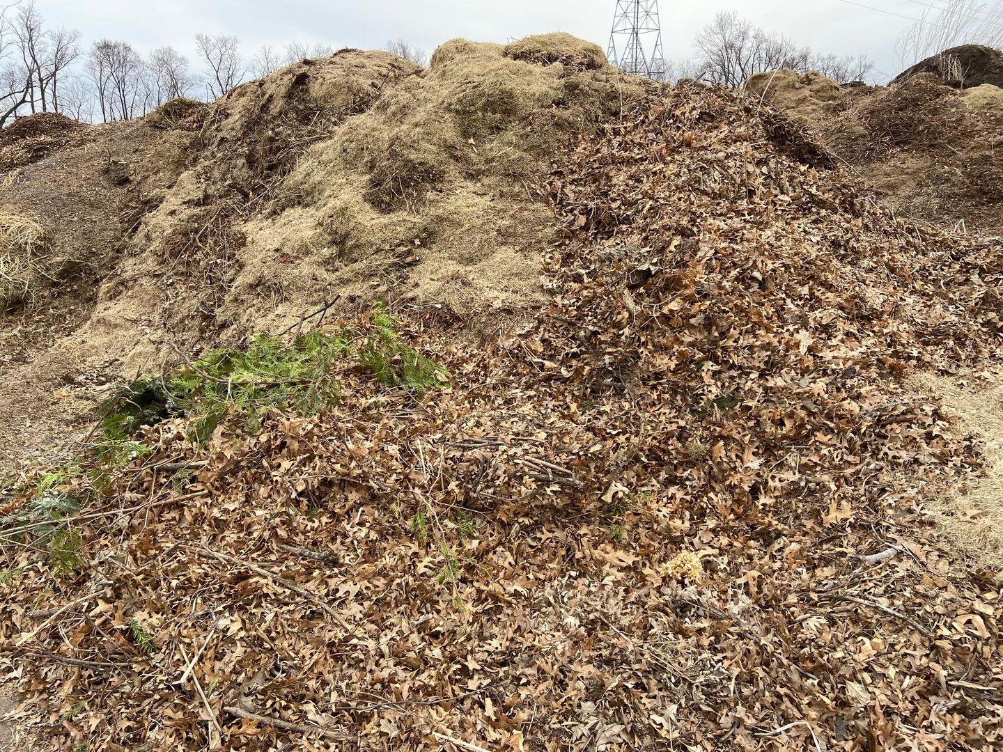 Yard Waste Disposal  St. Cloud, MN - Official Website