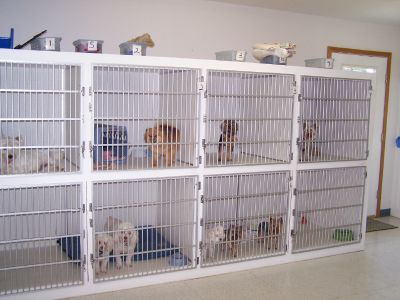 inside dog kennels
