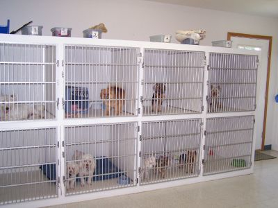 Indoor shop boarding kennels