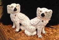 Staffordshire Dogs