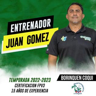 Borinquen Coqui