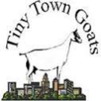 Home  Tiny Town Goat Soap