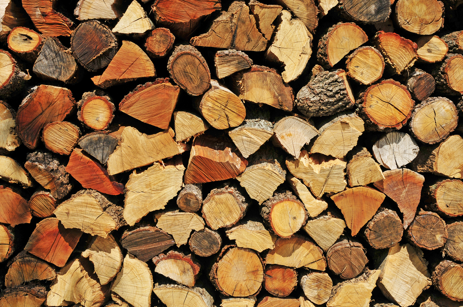 Mingo Marker Ensemble de bois de chauffage – Accessoires pour tronçonneuse  – Outil de mesure du bois de chauffage – Support de bûches pour couper le