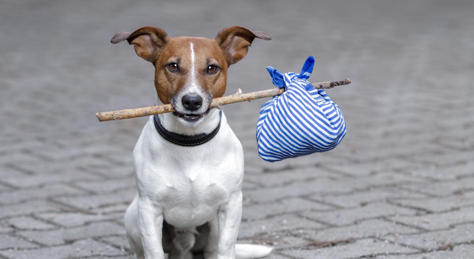 marketplace shrewsbury