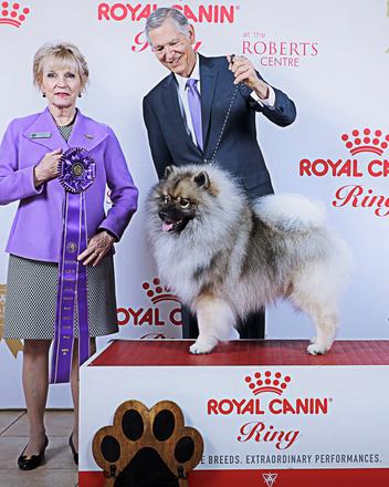 Royal canin clearance keeshond