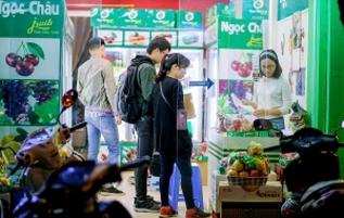 Giá giỏ hoa quả nhập khẩu đẹp tại Hà Nội