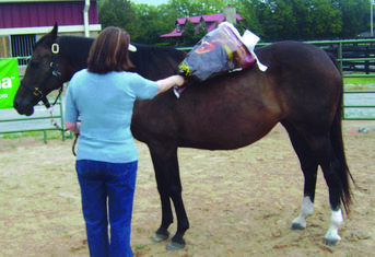 Lisa Wysocky desensitizing a horse