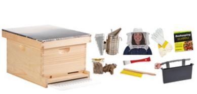 Beehive Complete Beginner Kit 10-Frames