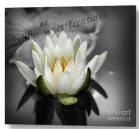 Lotus Blossom