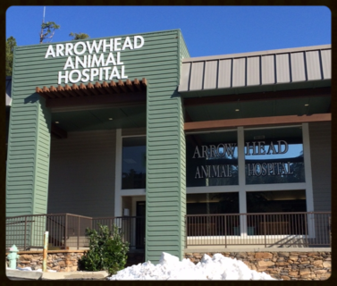 Arrowhead veterinary hot sale clinic